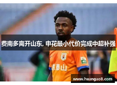 费南多离开山东, 申花最小代价完成中超补强 费南多离开山东, 申花最小代价完成中超补强