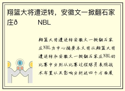 翔篮大将遭逆转，安徽文一掀翻石家庄🏀NBL